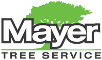 GOLD SPONSOR